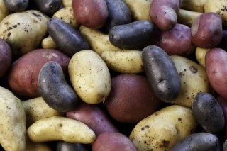 土豆什么时候种植最好 吃土豆的好处,第1图