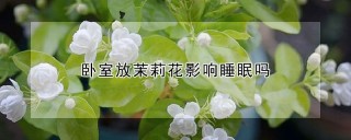 卧室放茉莉花影响睡眠吗,第1图