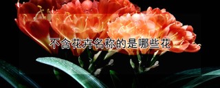 不含花卉名称的是哪些花,第1图