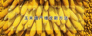 玉米增产增收新方法,第1图