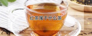 红茶属于什么茶,第1图