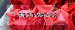 送玫瑰花朵数的含义,第1图