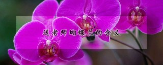 送老师蝴蝶兰的含义,第1图