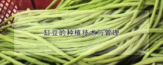 缸豆的种植技术与管理,第1图