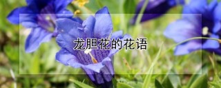 龙胆花的花语,第1图