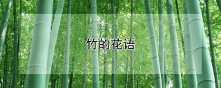 竹的花语,第1图