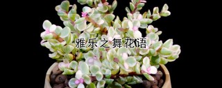 雅乐之舞花语,第1图