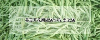 芸豆开花期能浇水吗,怎么浇,第1图