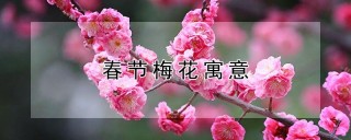 春节梅花寓意,第1图