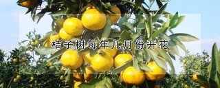 桔子树每年几月份开花,第1图