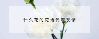 什么花的花语代表友情,第1图