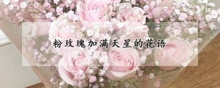 粉玫瑰加满天星的花语,第1图