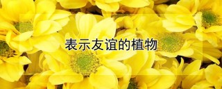 表示友谊的植物,第1图