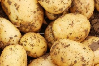 土豆什么时候种植最好 吃土豆的好处,第2图