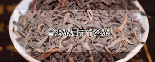 普洱茶属于什么茶,第1图