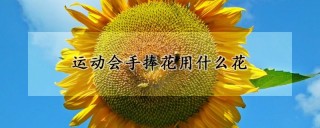 运动会手捧花用什么花,第1图