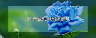 19支蓝色妖姬花语,第1图