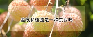 荔枝和桂圆是一种东西吗,第1图