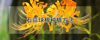 石蒜球根种植方法,第1图