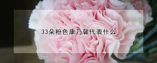 33朵粉色康乃馨代表什么,第1图