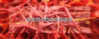 如何区分藏红花的档次,第1图