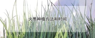 火葱种植方法和时间,第1图