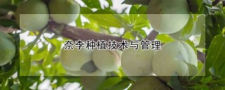 奈李种植技术与管理,第1图