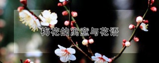 梅花的寓意与花语,第1图