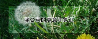 蒲公英的寓意和象征,第1图