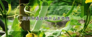 四月份适合种什么农作物,第1图