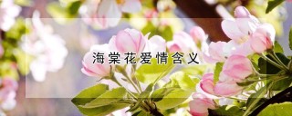 海棠花爱情含义,第1图