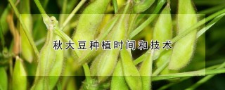 秋大豆种植时间和技术,第1图