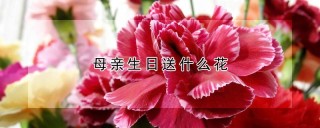 母亲生日送什么花,第1图