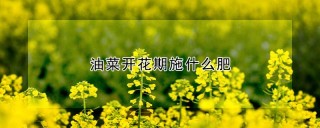 油菜开花期施什么肥,第1图