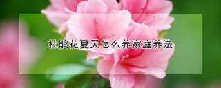 杜鹃花夏天怎么养家庭养法,第1图