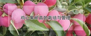 鸡心果树苗的栽培与管理,第1图