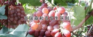 克瑞森和克伦生区别,第1图