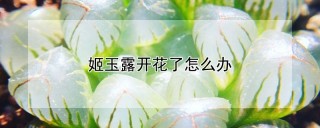 姬玉露开花了怎么办,第1图