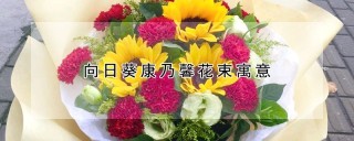 向日葵康乃馨花束寓意,第1图