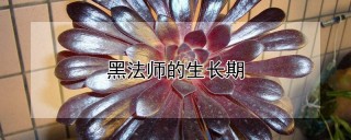 黑法师的生长期,第1图