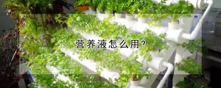 营养液怎么用?,第1图