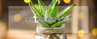 水培芦荟的两个方法,第1图