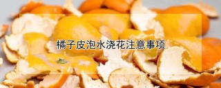 橘子皮泡水浇花注意事项,第1图