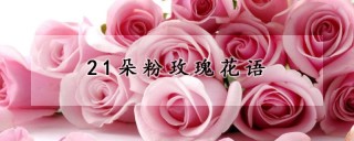 21朵粉玫瑰花语,第1图