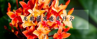 龙船花寓意是什么,第1图