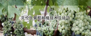 克伦生葡萄种植技术及技巧,第1图