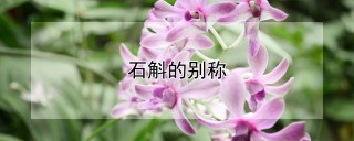 石斛的别称,第1图