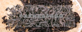 牛栏坑肉桂是什么茶类,第1图