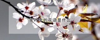 红叶李的花语是什么,第1图