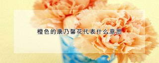 橙色的康乃馨花代表什么意思,第1图